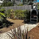 Il Rhybasteinon * רובו די פוליה