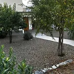 Il Rhybasteinon רובו די פוליה